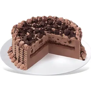 DQ Choco Brownie Extreme Blizzard Cake