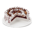 Reese's Peanut Butter Ice Cream Cake