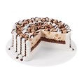 Reese's Peanut Butter Cup Ice Cream Cake