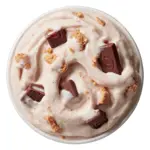 S'mores Blizzard